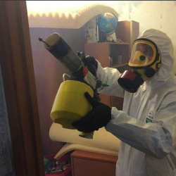 Уничтожение клопов в квартире. Рижская